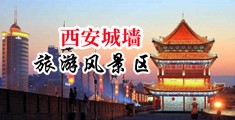 美女咪咪插入图片中国陕西-西安城墙旅游风景区